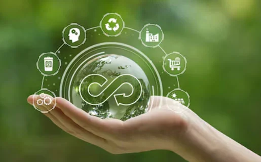 Circular economy, waste & packaging
advisory